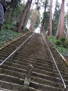 image2.jpeg